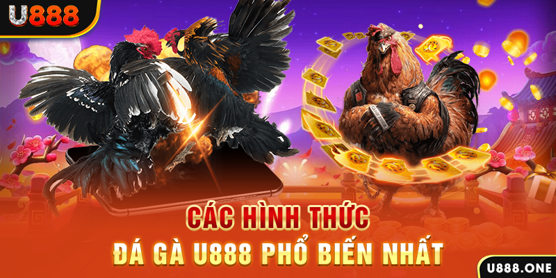 Các hình thức đá gà u888 phổ biến nhất