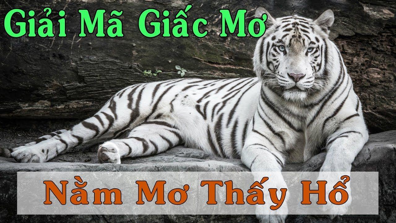 Giải mã giấc mơ thấy hổ đi vào nhà lành hay dữ?