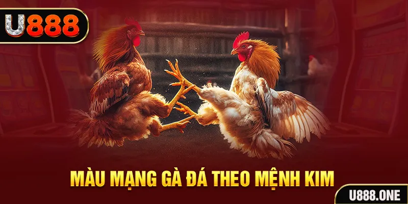 Màu mạng gà đá theo Mệnh Kim