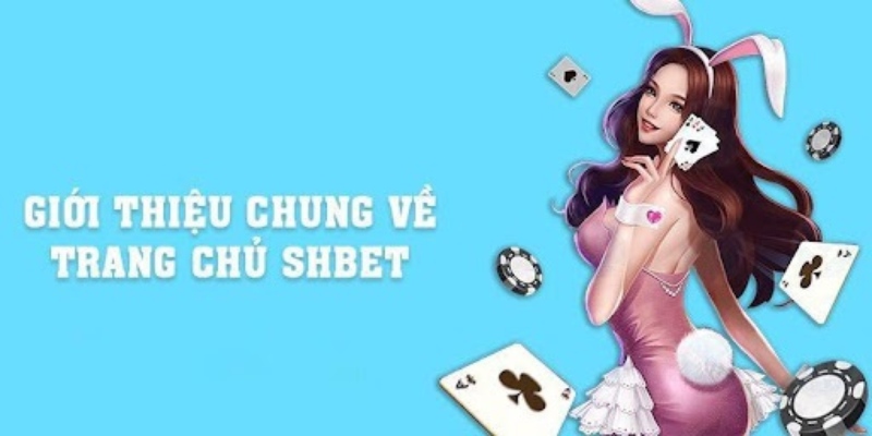 SHBET là nhà cái cá cược đổi thưởng đáng tin cậy nhất trong năm 2024